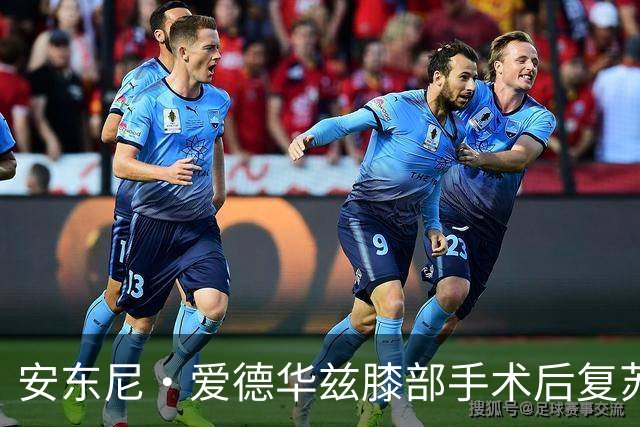 安东尼·爱德华兹膝部手术后复苏前景分析